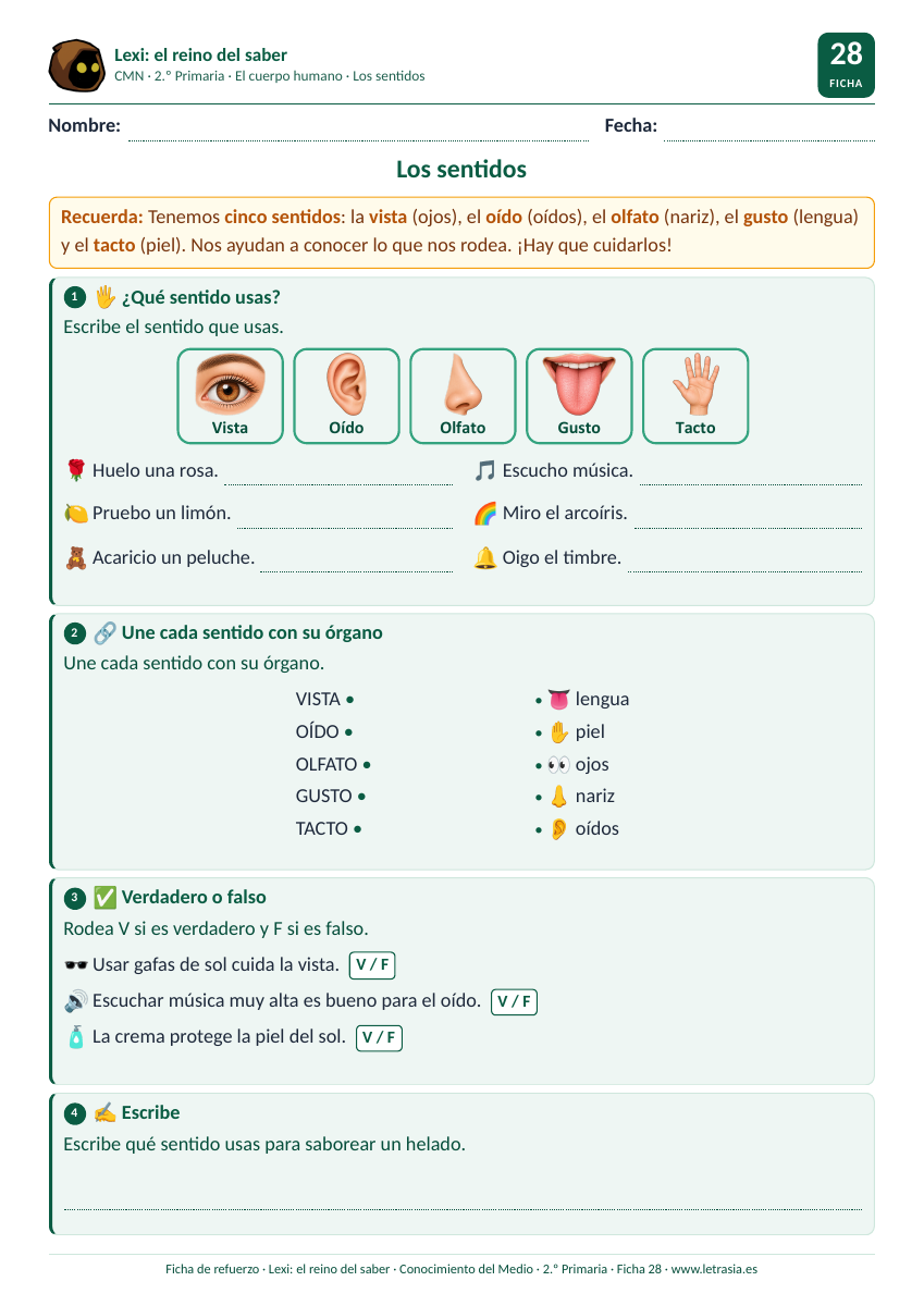 Ficha de Conocimiento del Medio de 2.º de Primaria sobre los cinco sentidos y sus órganos con tarjetas