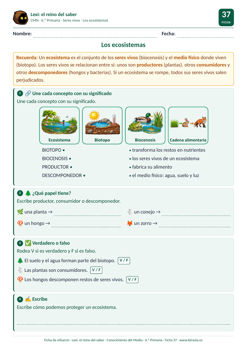 Ficha de Conocimiento del Medio de 6.º de Primaria sobre los ecosistemas: biotopo, biocenosis y papel de los seres vivos