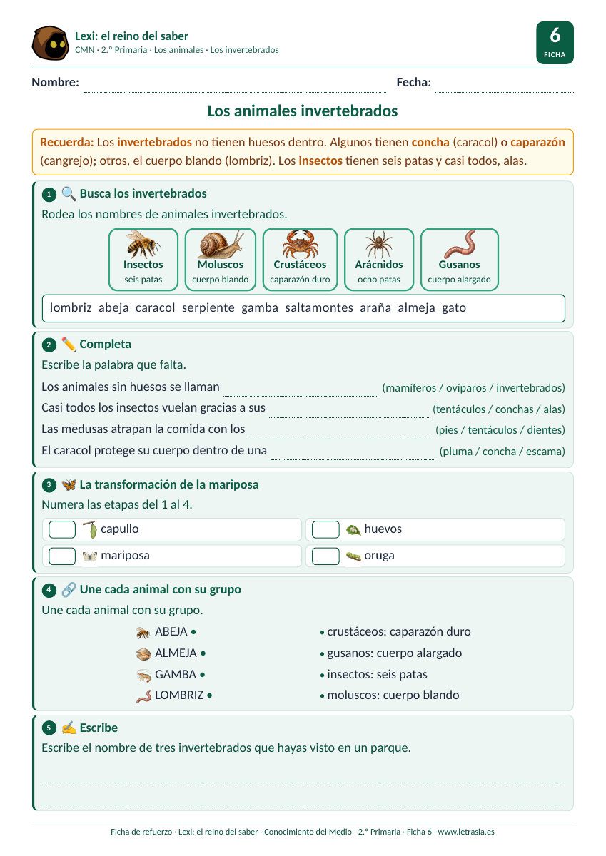 Ficha de Conocimiento del Medio de 2.º de Primaria sobre los animales invertebrados: insectos, moluscos, crustáceos y gusanos y la metamorfosis de la mariposa