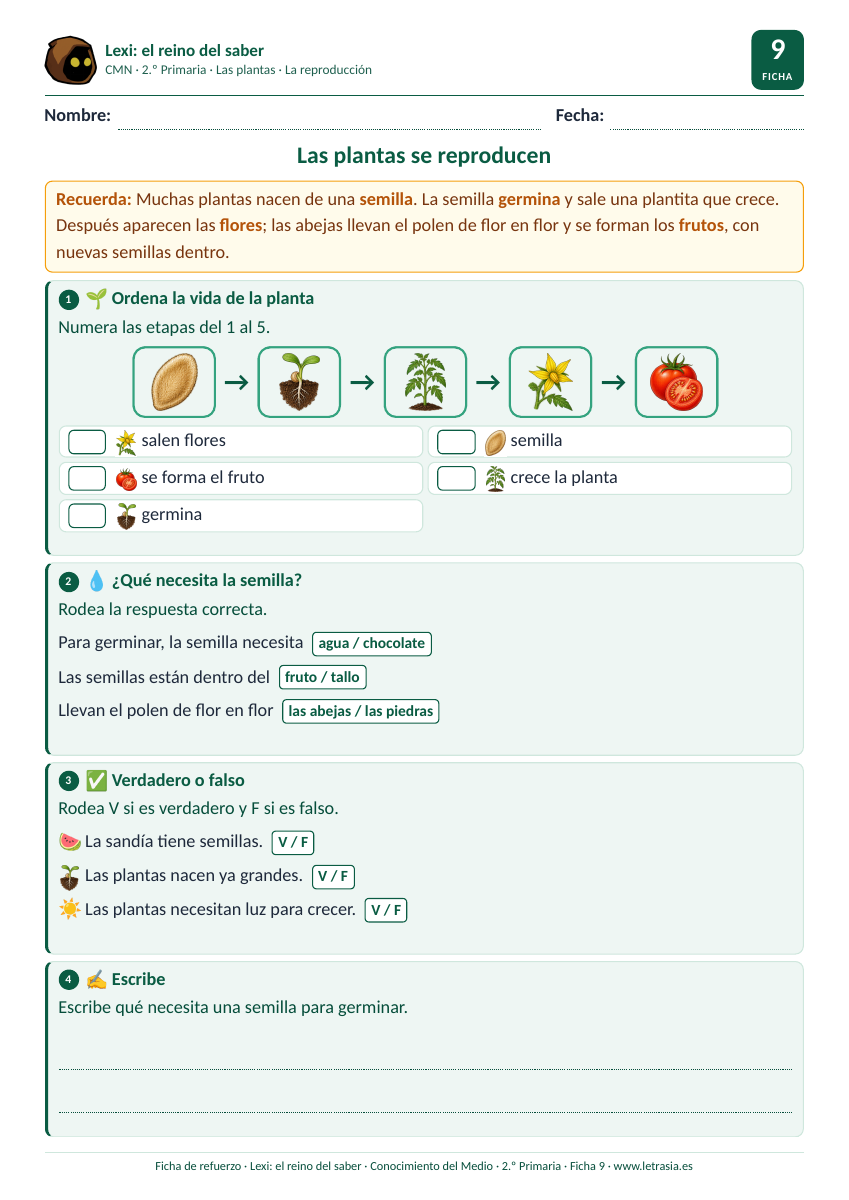 Ficha de Conocimiento del Medio de 2.º de Primaria sobre cómo se reproducen las plantas con la secuencia ilustrada de semilla a fruto